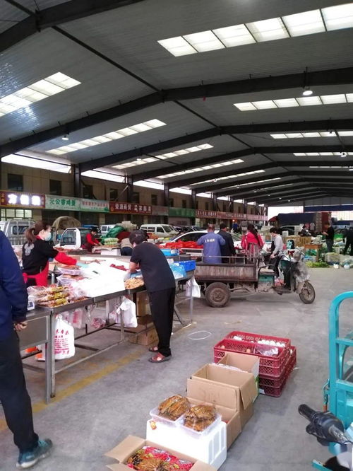 中貿(mào)農(nóng)產(chǎn)品綜合批發(fā)市場(chǎng) 從基地到市場(chǎng)，蔬菜區(qū)一站式采購與每日參考價(jià)解析