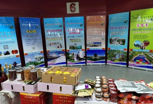 攜手長(zhǎng)三角，共贏新未來——我區(qū)赴上海成功舉辦對(duì)口合作暨地區(qū)特色產(chǎn)品展銷旅游文化推介活動(dòng)